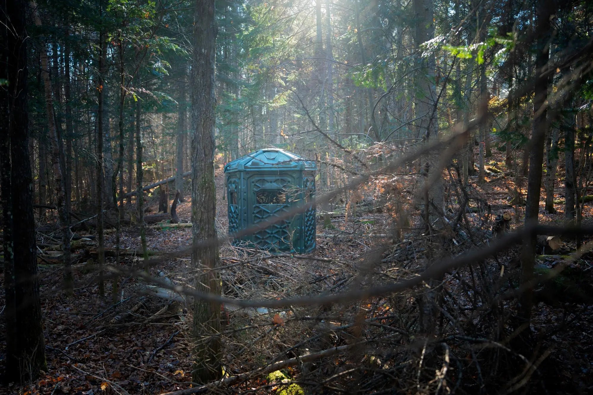 CATCH Hunting blind deep in the forest