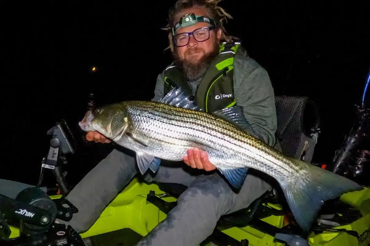 Spring Stripers: Night Time Is the Right Time