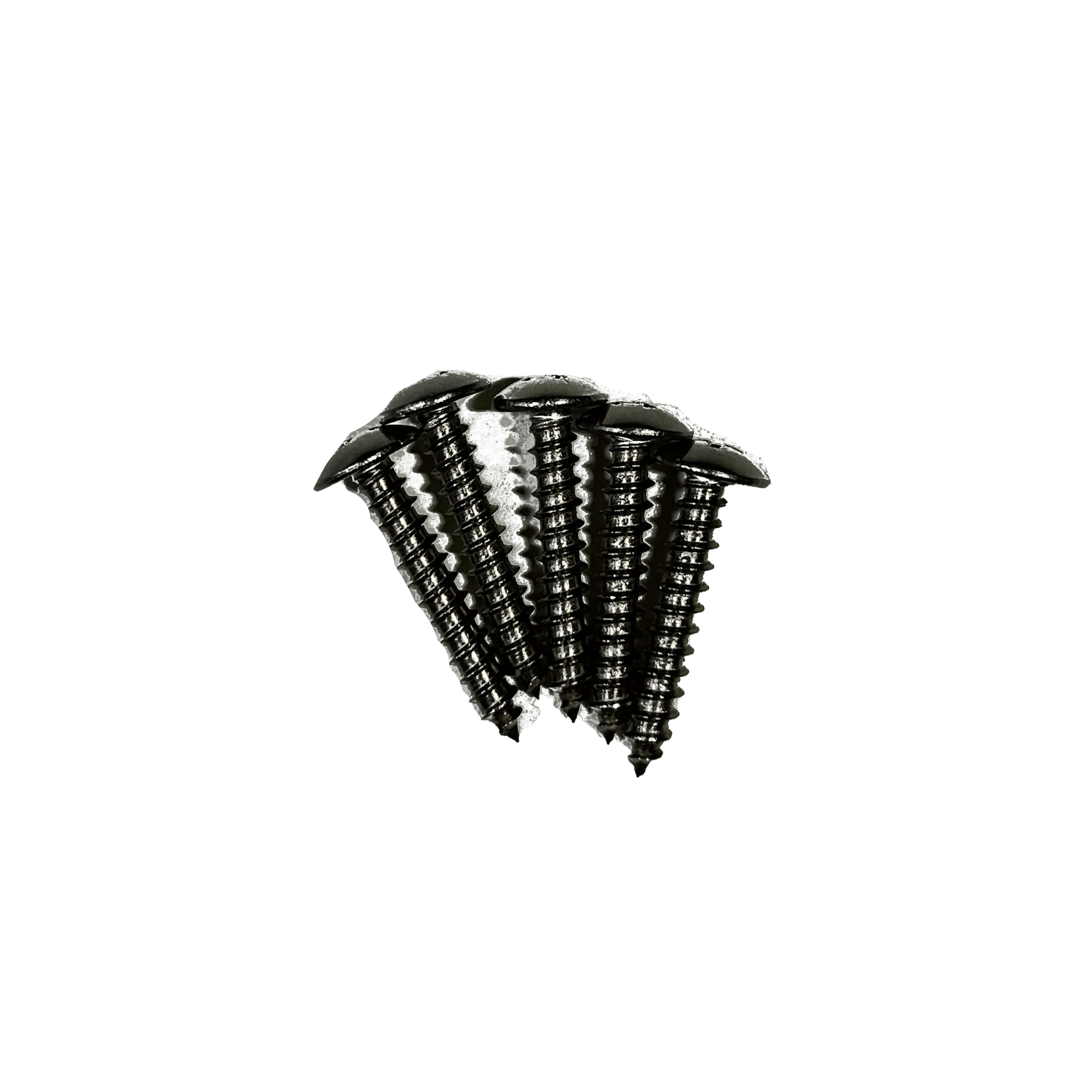 Truss Screws - #8 x 1 in. - 5 Pack