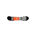 Seatback and Targa Strap Set