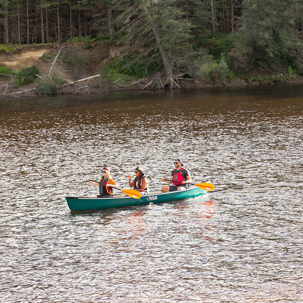 Pelican 15.5 Canoe