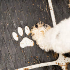 Dog Traction Pad