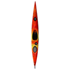 Tsunami 175