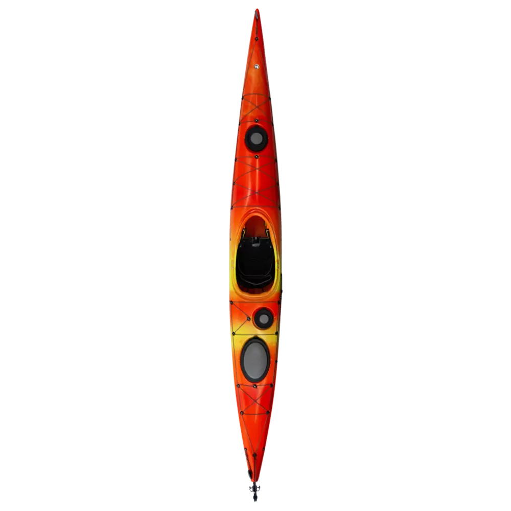 Tsunami 175