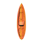 Sentinel 100