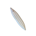 Main Tube (Right) without Pressure Relief Valve - StraitEdge™ Angler Pro