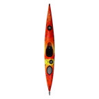Tsunami 165