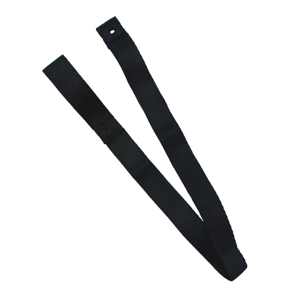 Stand Assist Strap