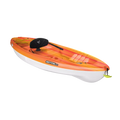 Sentinel 100