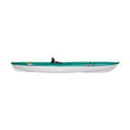 Sentinel 100