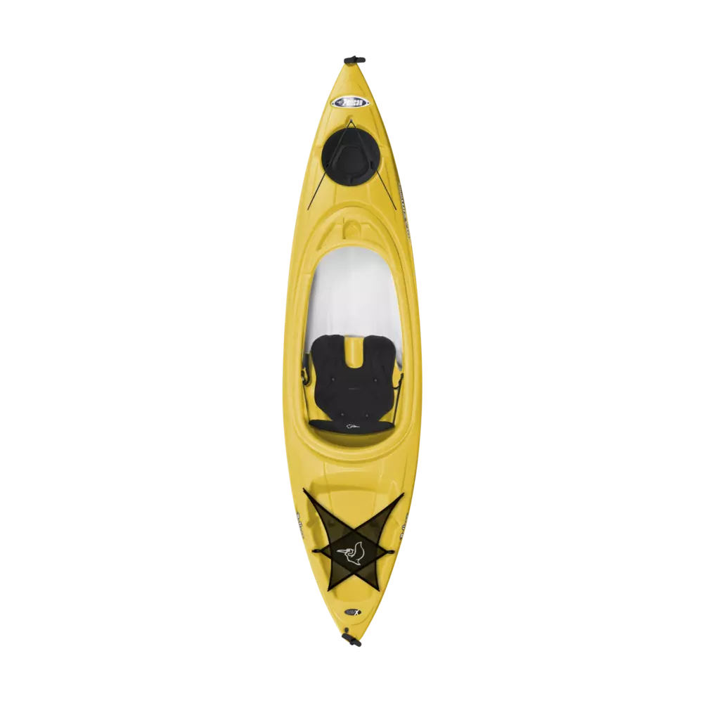 Maxim 100X