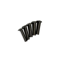 Panhead Screws - 1/4-20 x 1 in.- 5 Pack