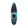 Access 9.5