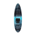 Access 9.5