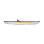 Sentinel 100