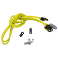 Electric 38" Bungee Cord